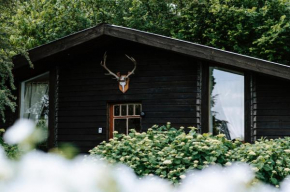 Le chalet sud